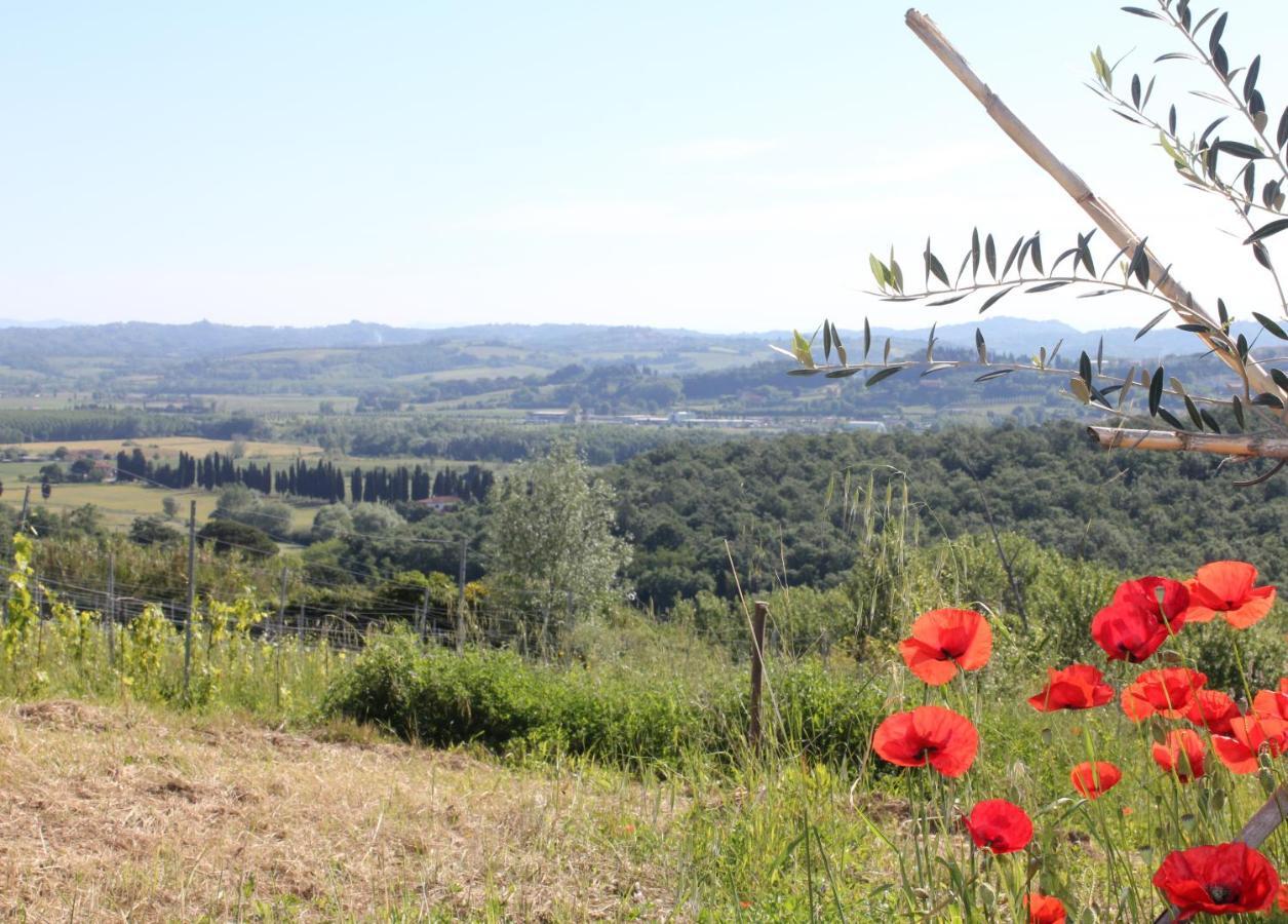 Tuscany Life Terricciola Eksteriør billede
